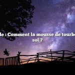 Réponse rapide : Comment la mousse de tourbe aide-t-elle le sol ?